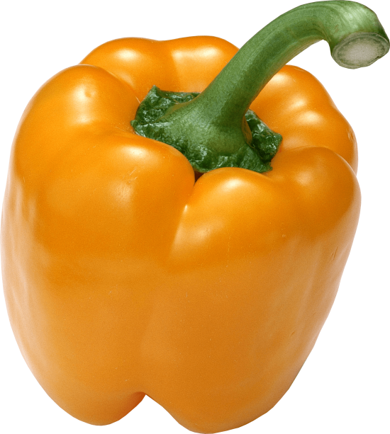 bell-pepper-organic-food-chili-pepper-pimiento-pepper-png-image-106688d4168b39aa7007ca41c87670da