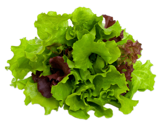 mesclun-caesar-salad-lettuce-leaf-vegetable-salad-c39d4d617b2e65bc7b64dbe3a01bea1e (1)