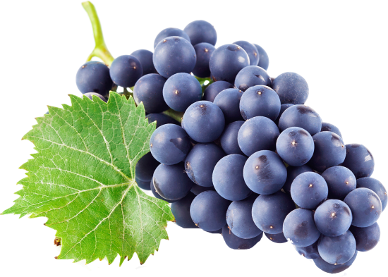 kyoho-wine-juice-grape-grapes-0b222d3b162013545eccfa9e42ea6d0b