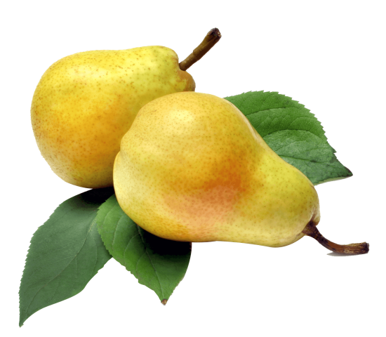 fruit-pear